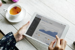 Lets加密深度测评：年度最佳免费安全方案揭秘，轻松守护网站安全