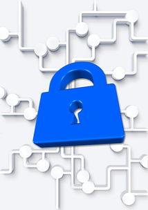 Lets快连官方正版下载：一键获取稳定网络连接，告别卡顿与安全风险